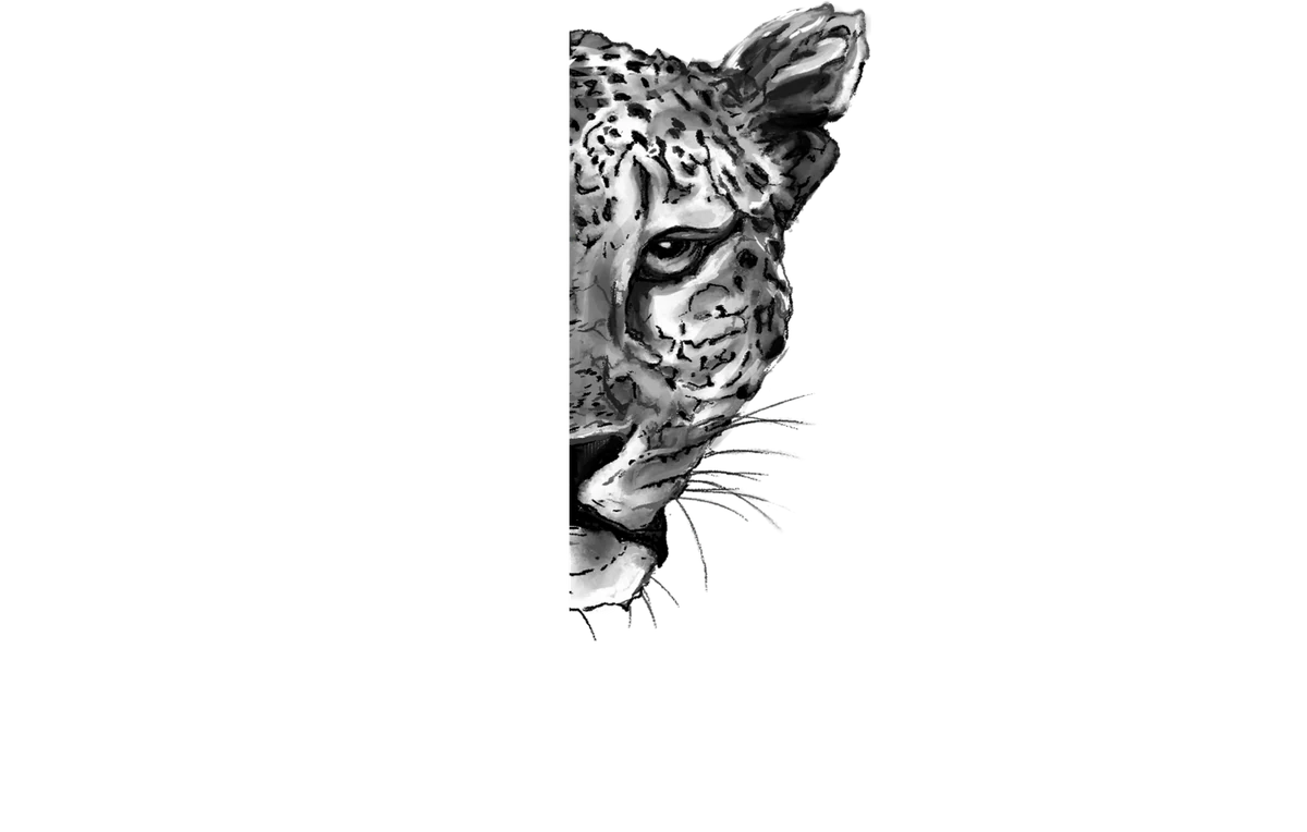 Carter Farrago